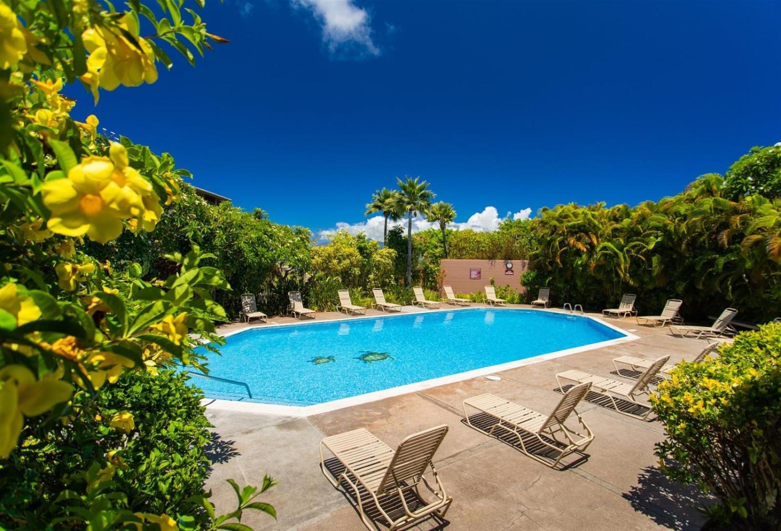 Apartamento 2511 Ridge Kahana Exterior foto