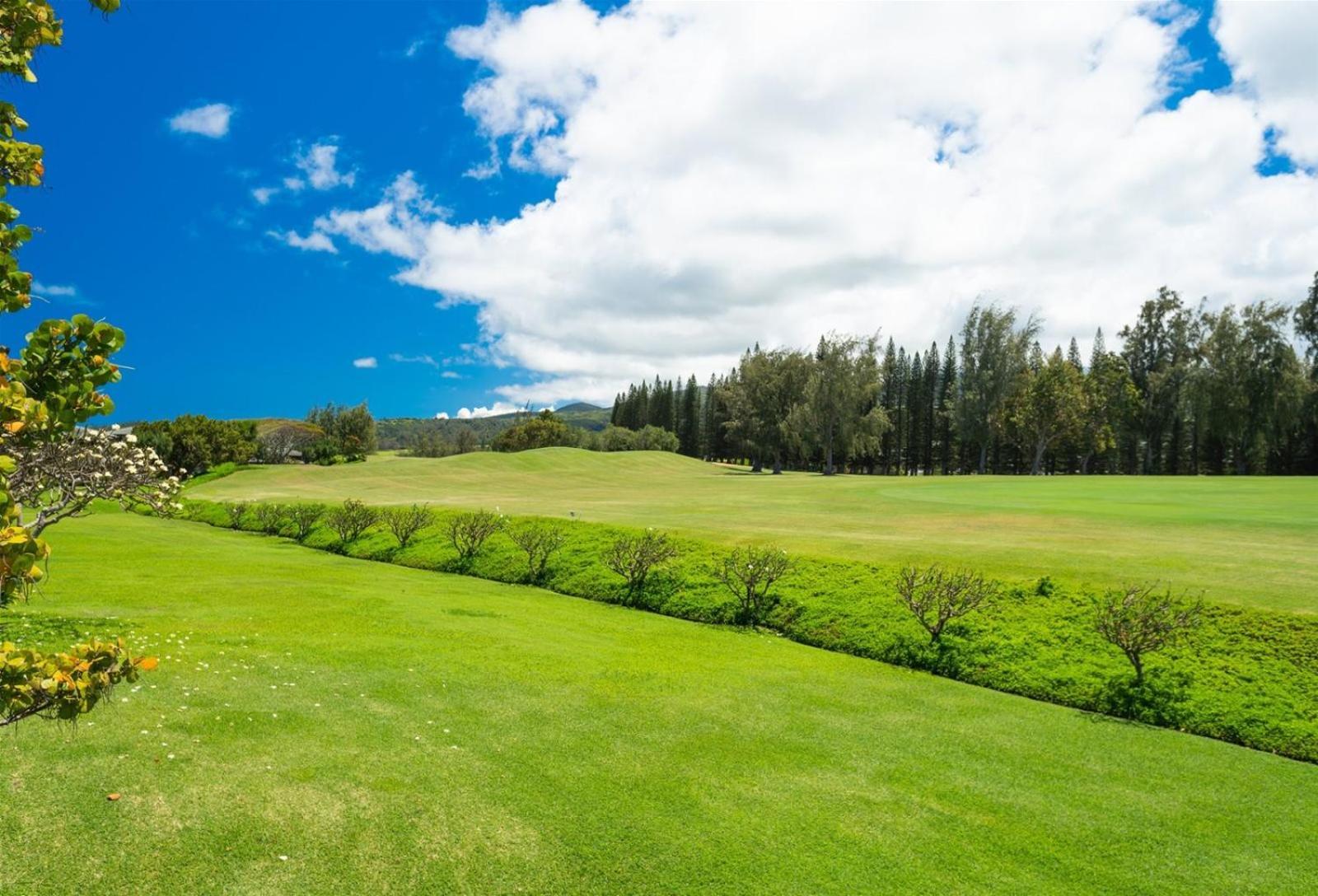 Apartamento 2511 Ridge Kahana Exterior foto